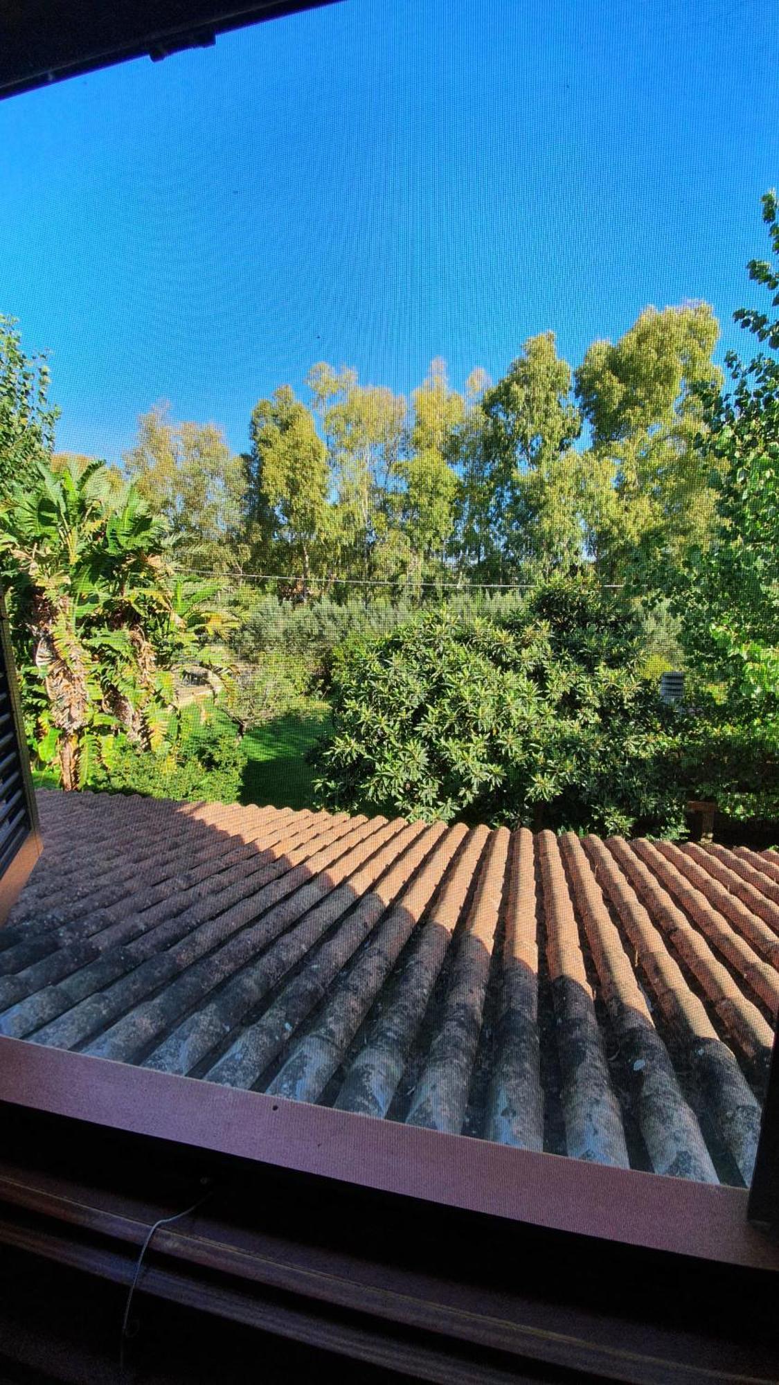 Villa Canu Alghero Rum bild